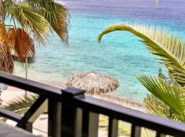 Chachacha Beach Condo