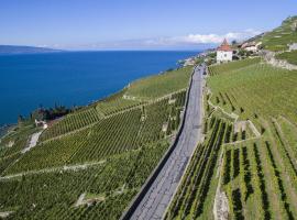 Domaine du Burignon, hotel em Saint-Saphorin