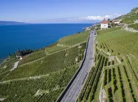 Domaine du Burignon