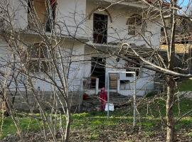 Kotedža Bitro House pilsētā Pogradeca