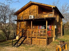 Villzone with big garden, hotel a Pristina