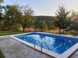 Villa "Pool and Garden", cabaña o casa de campo en Sarajevo