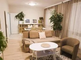 Zielony apartament.