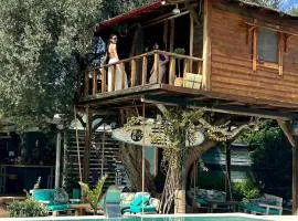 Tuz Treehouse