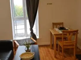 Dublin City Centre Apartment