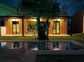Galene Eco Luxury Villas: Acharavi şehrinde bir otel