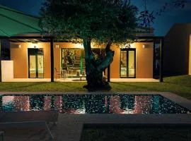 Galene Eco Luxury Villas