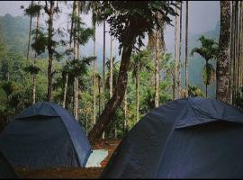 Tropical camping wayanad, campsite in Meppādi