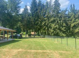 Casa Veverițelor - Căsoaia, strandh&oacute;tel &iacute; Arăneag