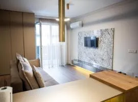 Central luxury apartment