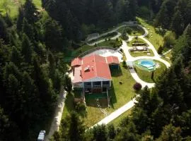 ECO VILLA OLYMPUS with sauna and swimming pool
