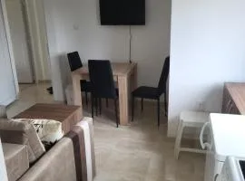 Apartment Pavlović