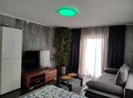 Ferienwohnung Rhein-Main II