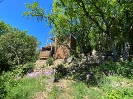 Tiny House en lisière de forêt