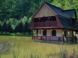 Unique House on the Lake, cottage in Pădurea Neagră
