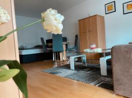 ZV-Scholtz Burghausen, Haydnstr.11 AP-3, pet-friendly hotel in Burghausen