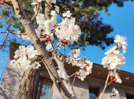 Mashtots B&B, hotel di Vanadzor