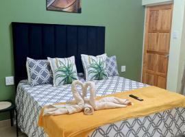 Danrit Guesthouse - Uncapped wifi, hotel near Westgate Shopping Centre, Roodepoort