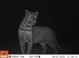 Oorlogs Kloof Mountain Retreat Montagu, cheap hotel in Montagu