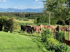 Viesnīca Kuh Heimat - Bergblick - Terrasse pilsētā Buchenberg