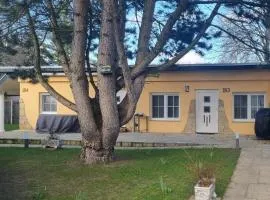 Casa Mia 183 am See