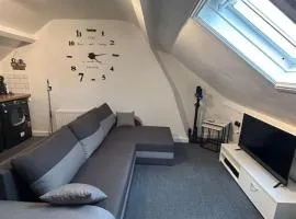 Rock Park Penthouse