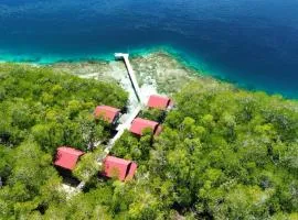 Raja Ampat Blue Sea