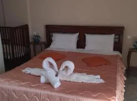 Mihalis Vrion Apartment