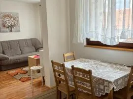 Apartman LENKA