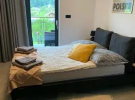 Apartament w Dolinie Sanu 1