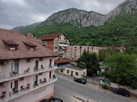 Pensiunea Paradis Baile Herculane, hotell i Băile Herculane