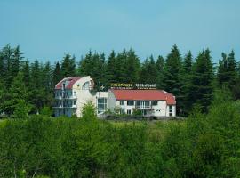 Hotel Tsiskari, hotel v destinaci Ianet'i