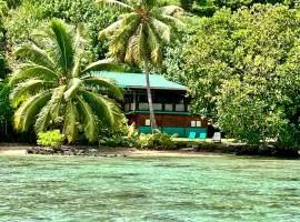 Fare Hotu Villa