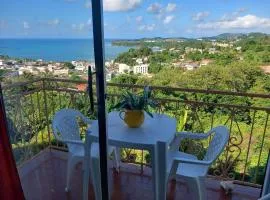Coin de verdure. Superbe vue mer de la baie de la belle commune de TRINITE -MARTINIQUE, calme, ventilé, situé à 2mns du bourg, des plages et commerces
