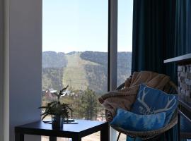 Vila Onyx, hotel v destinaci Divčibare