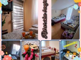 Katarina lux I apartman, hotel in Ribarska Banja