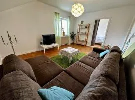 Mysig Takvåning med takfönster