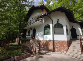 Kuca za odmor Lisine, villa em Despotovac