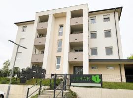 Juhar 1 Apartman, апартаменти у місті Кесег