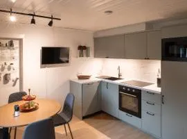 Apartment am Kitzbühel Horn