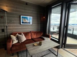 Riddergaardens panorama