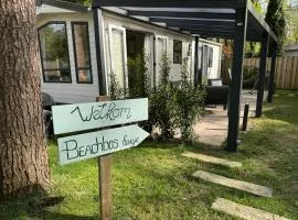 Welkom in het beachbos I Onthaasten op de Veluwe