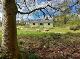 The Bungalow, Forest of Dean, hotel en Coleford