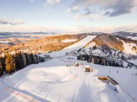 Apartment Wolf by Interhome