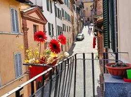 La Campanina-nel cuore di Siena e della contrada