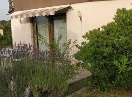 Apartment Lavinia
