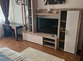 Garsoniera Dary Bloc G2str Mihai Bravu