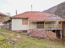 Kuća Cvetković, holiday home in Pirot