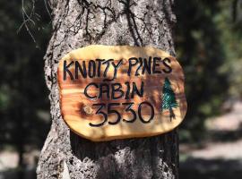 Camp Knotty Pines, hotel cu parcare din Heber