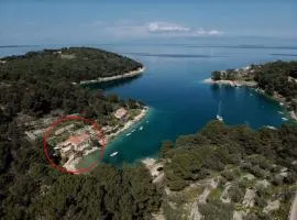 Seaside holiday house Losinj, Losinj - 22696